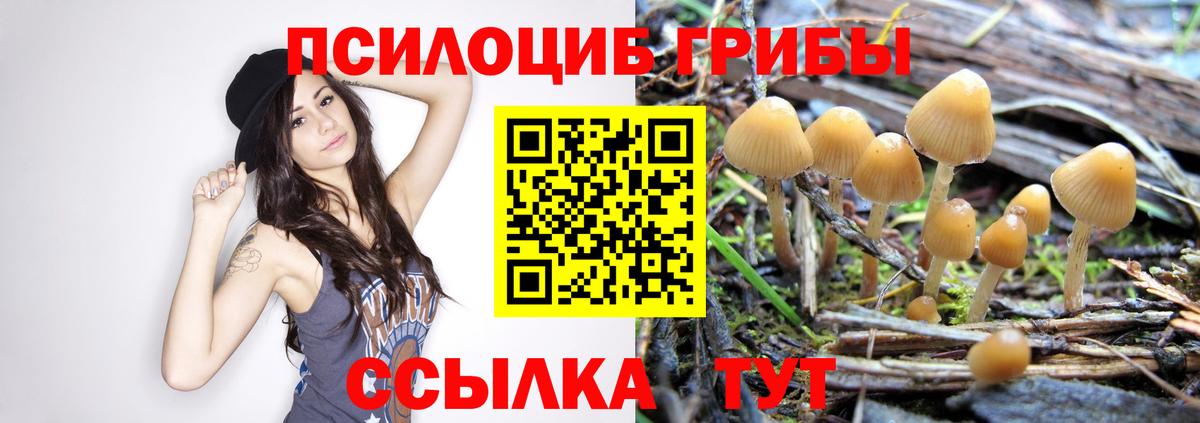 Кизилюрт  Галлюциногенные грибы ЛСД  Вход с VPN 